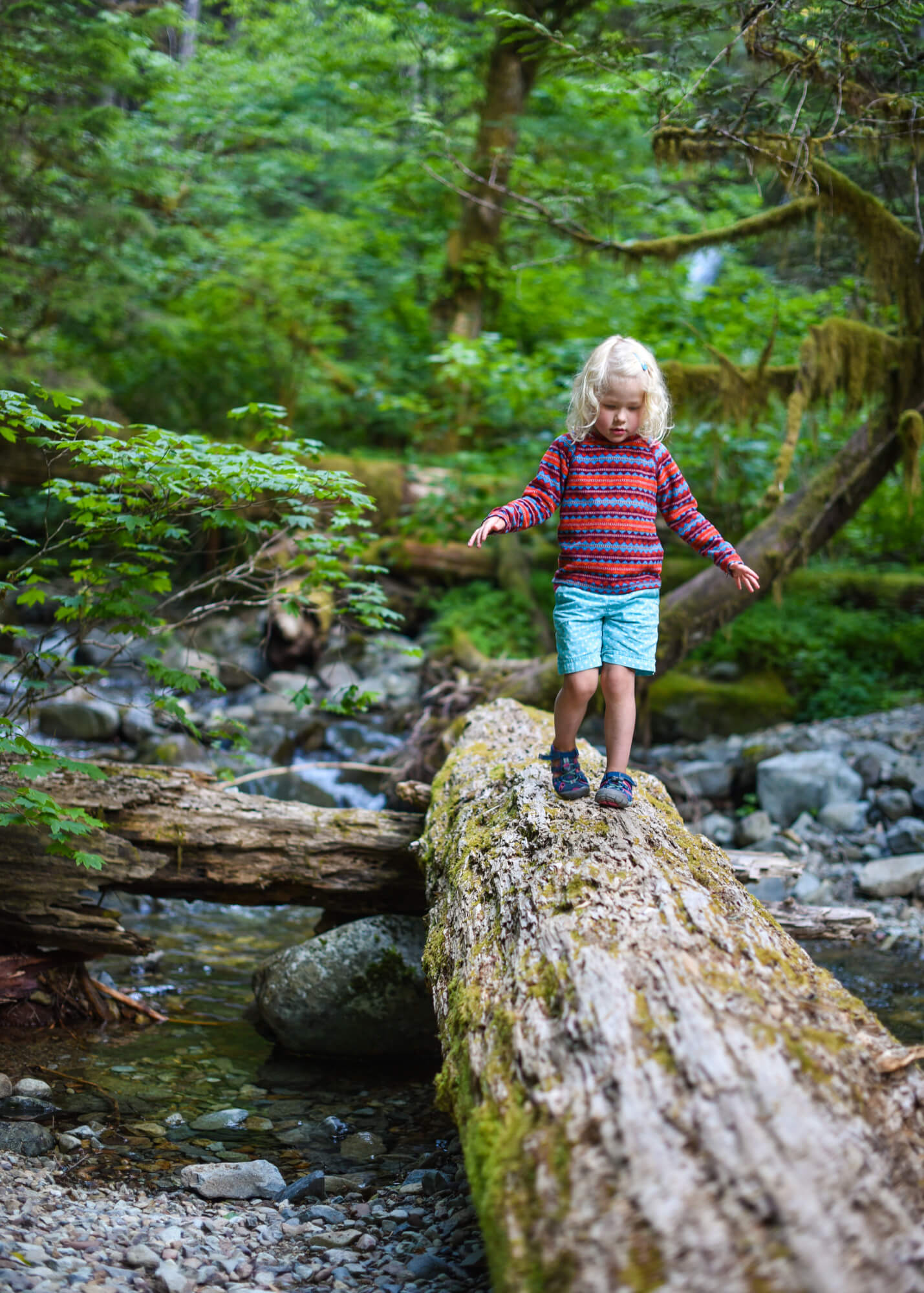 Little girl crossing a log bridge.