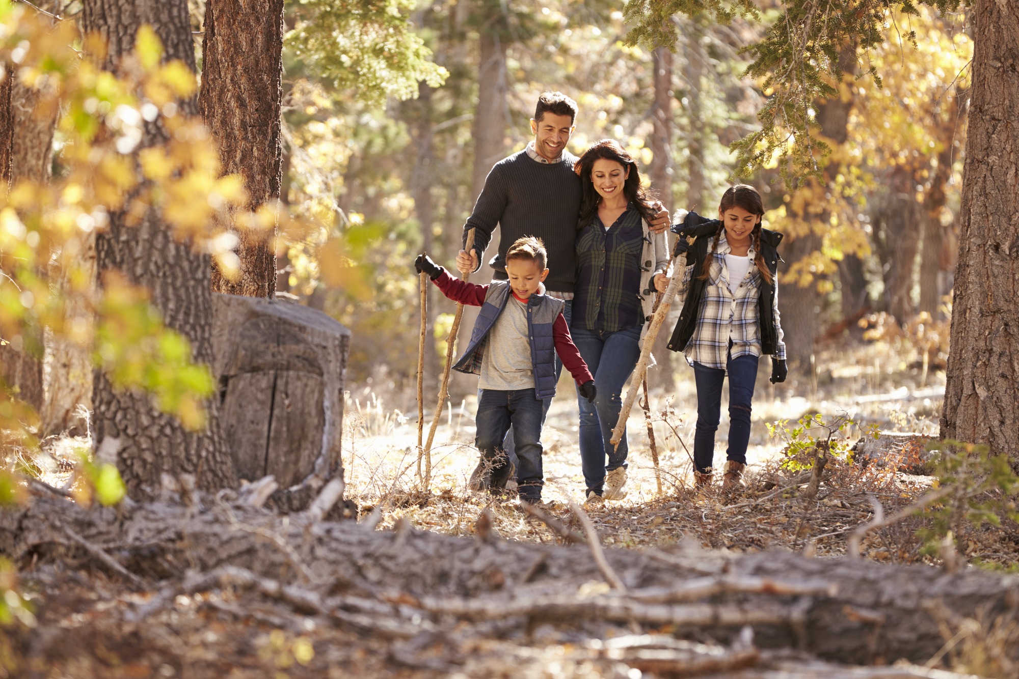 A family of four joyfully hikes through a sunlit forest, using walking sticks. Autumn leaves surround them, highlighting a nature adventure.