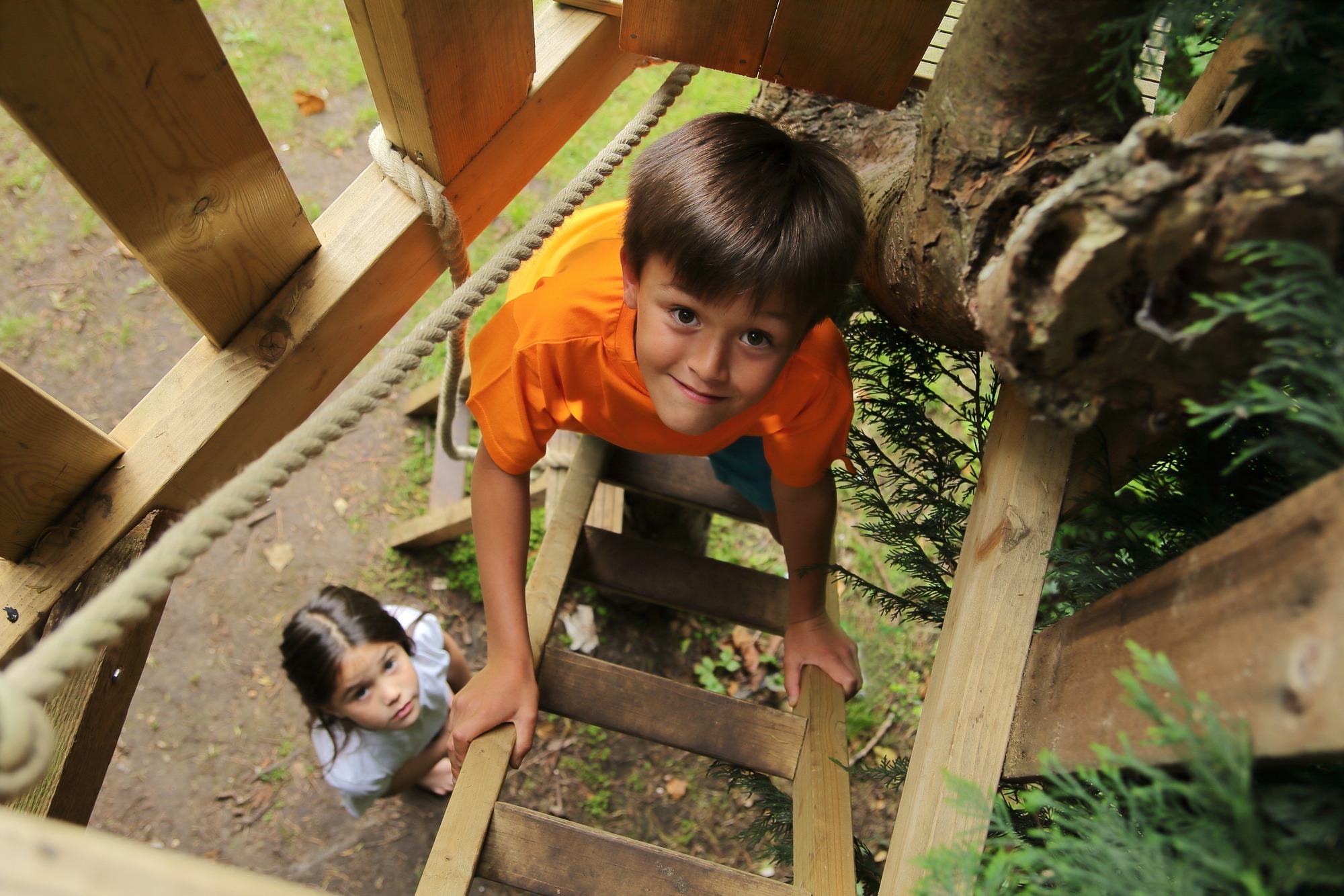 Two children are climbing a wooden ladder in a treehouse. A boy in an orange shirt looks up with a smile, while a girl in a white shirt watches from below.